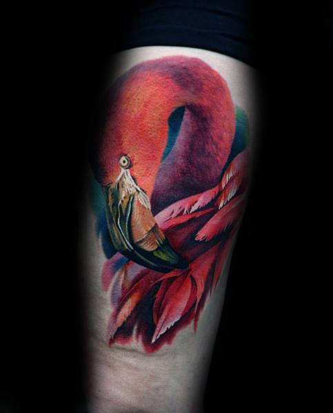 Flamingo tattoo 51