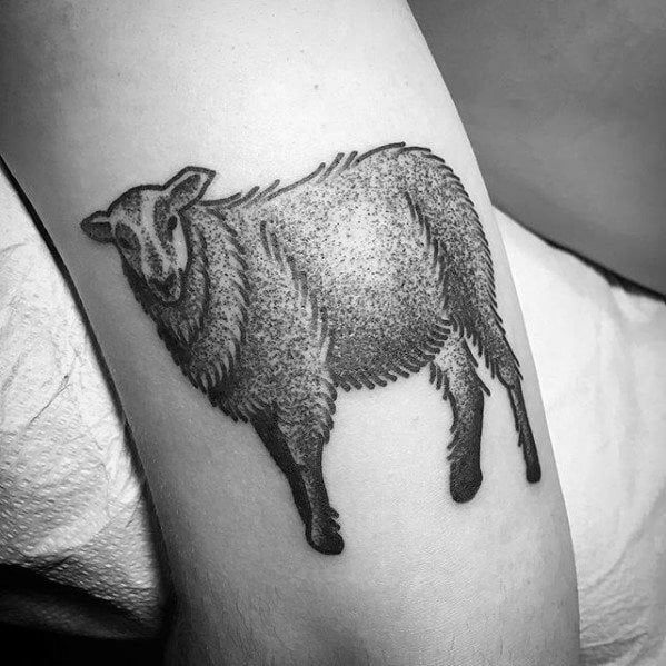 Schafe tattoo 15