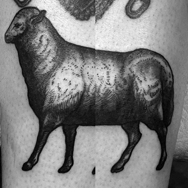 Schafe tattoo 55