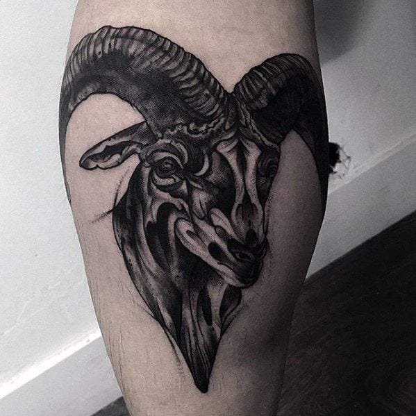 Schafe tattoo 75