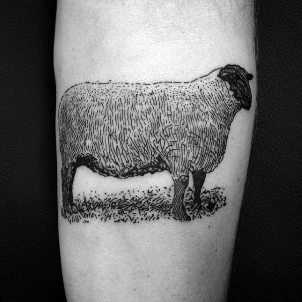 Schafe tattoo 89