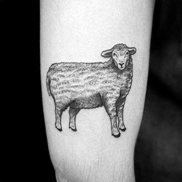 Schafe tattoo 95
