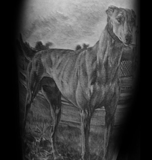 Windhund tattoo 01
