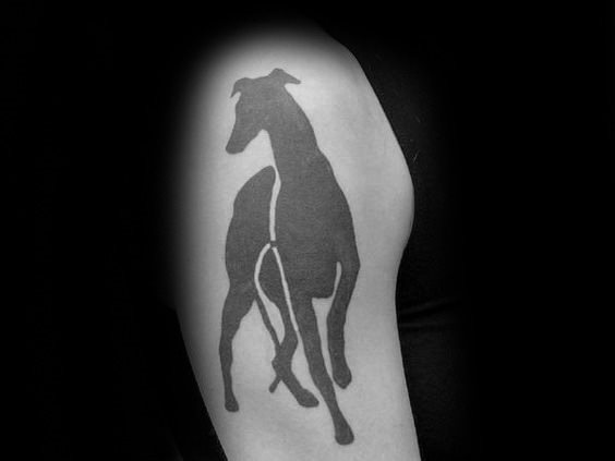 Windhund tattoo 17