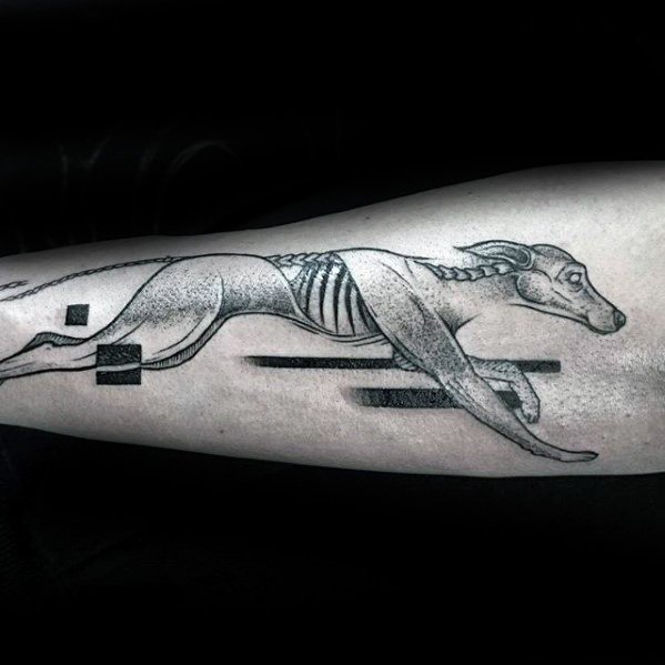 Windhund tattoo 33