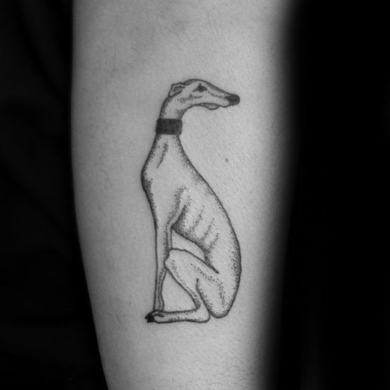 Windhund tattoo 37