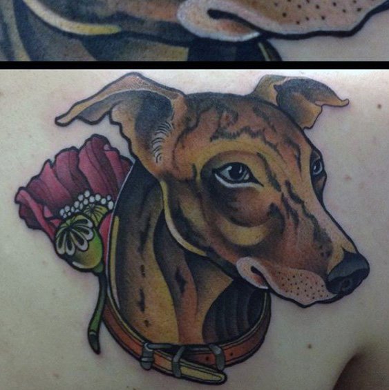 Windhund tattoo 61