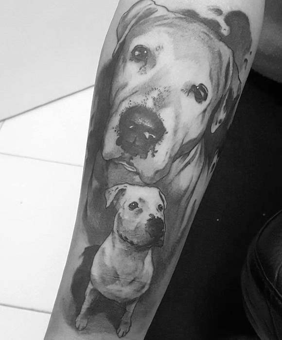 pitbull tattoo 15