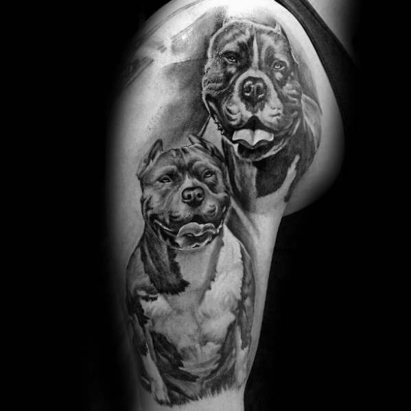 pitbull tattoo 21