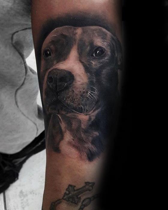 pitbull tattoo 25