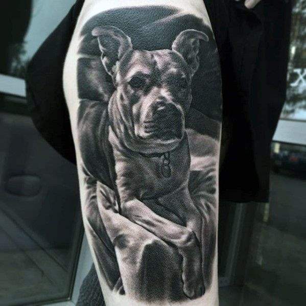 pitbull tattoo 37