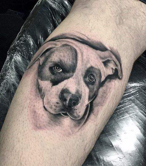 pitbull tattoo 39