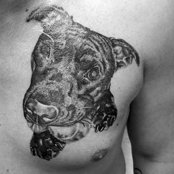 pitbull tattoo 53