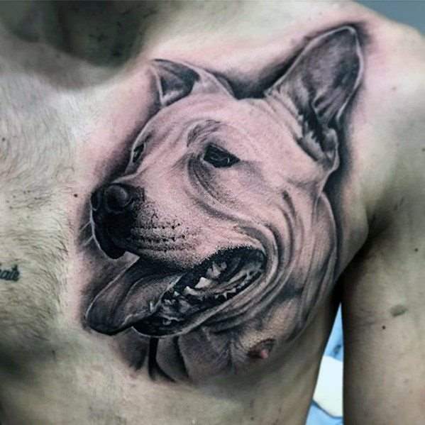 pitbull tattoo 63