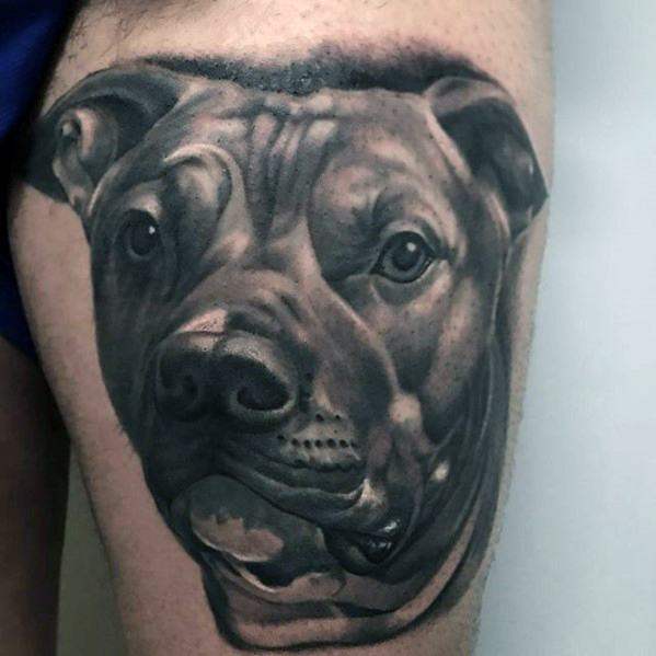 pitbull tattoo 65