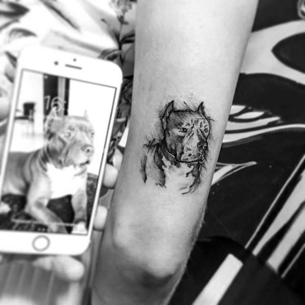 pitbull tattoo 67