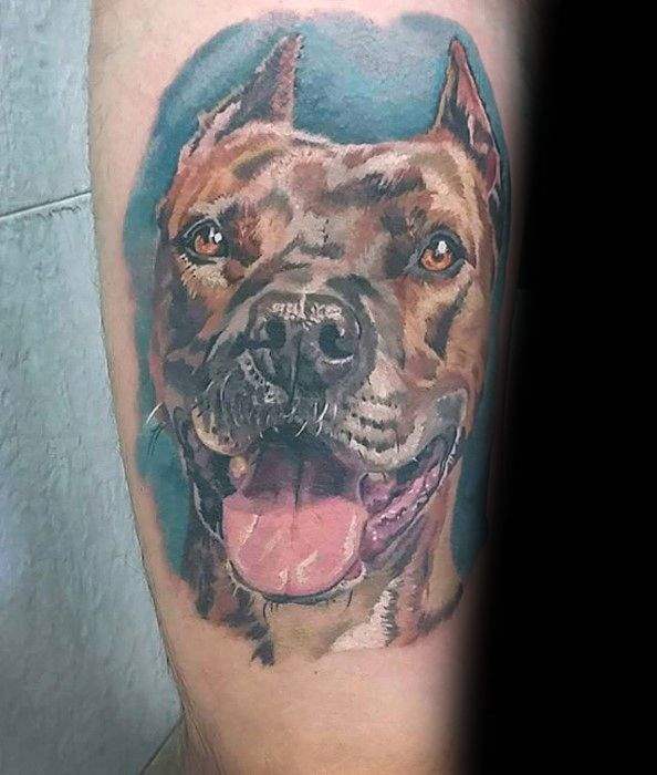 pitbull tattoo 85