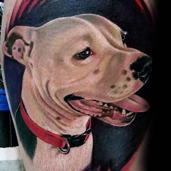 61 Tattoos von Pitbulls (mit Bedeutung)