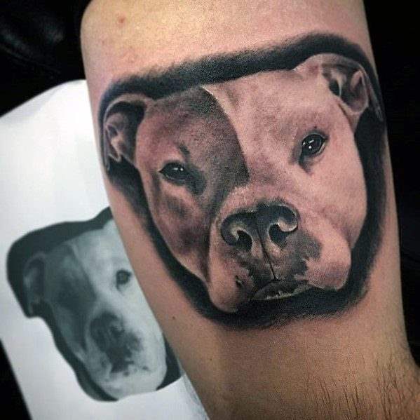 pitbull tattoo 97