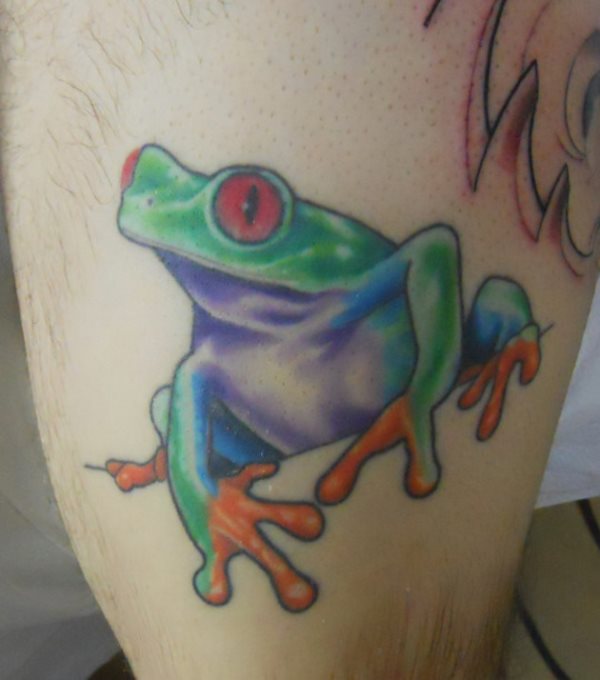 frosch krote tattoo 232