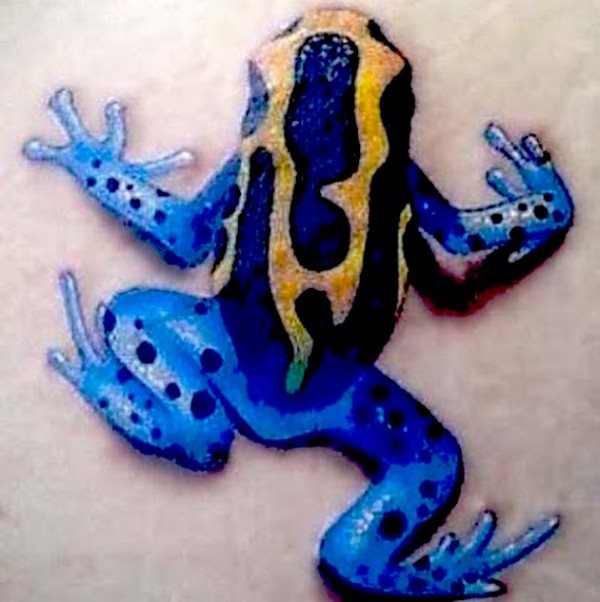 frosch krote tattoo 30