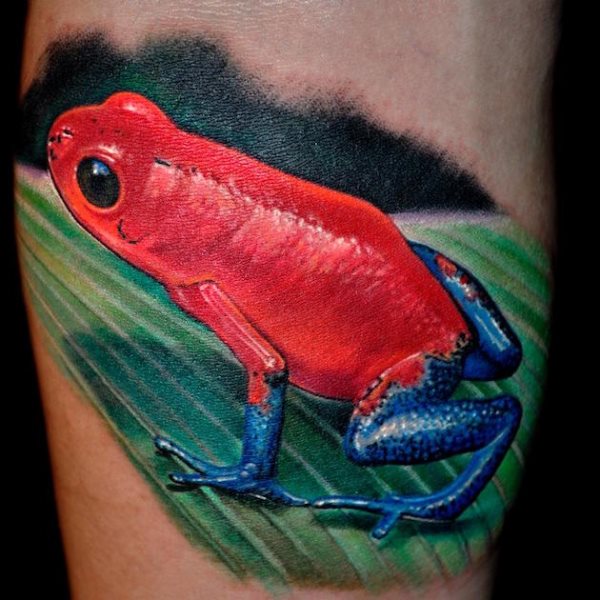 frosch krote tattoo 36