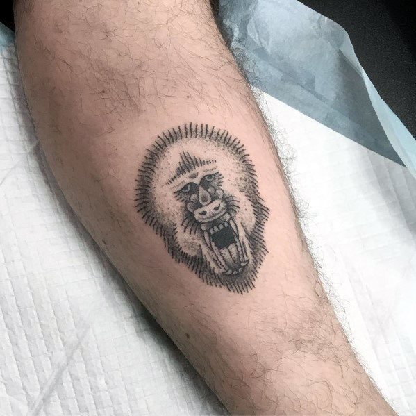 pavian babuine tattoo 117