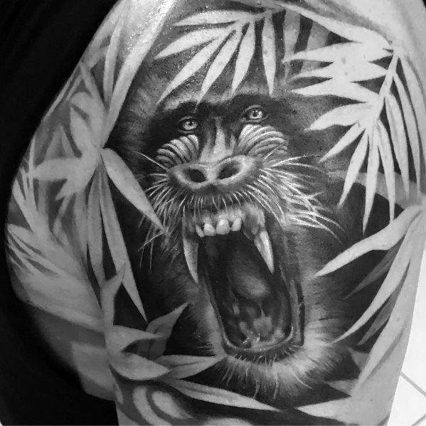 pavian babuine tattoo 125