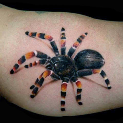 spinne tattoo 1052