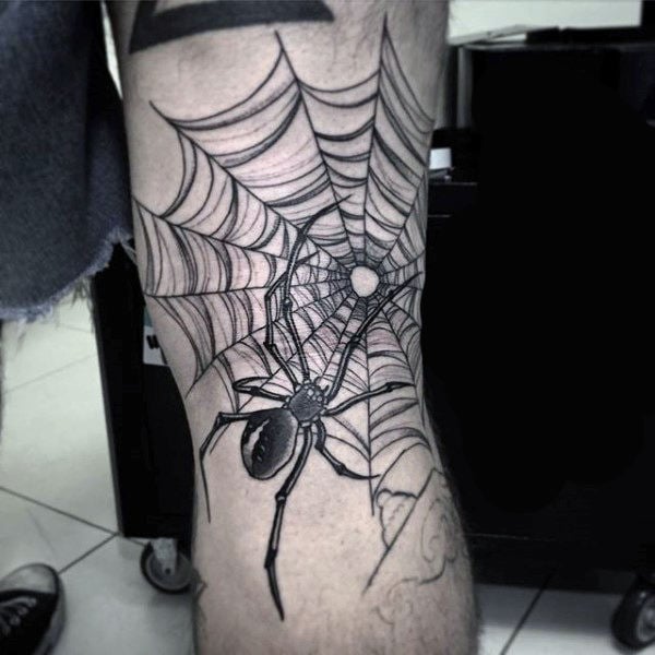 spinne tattoo 519