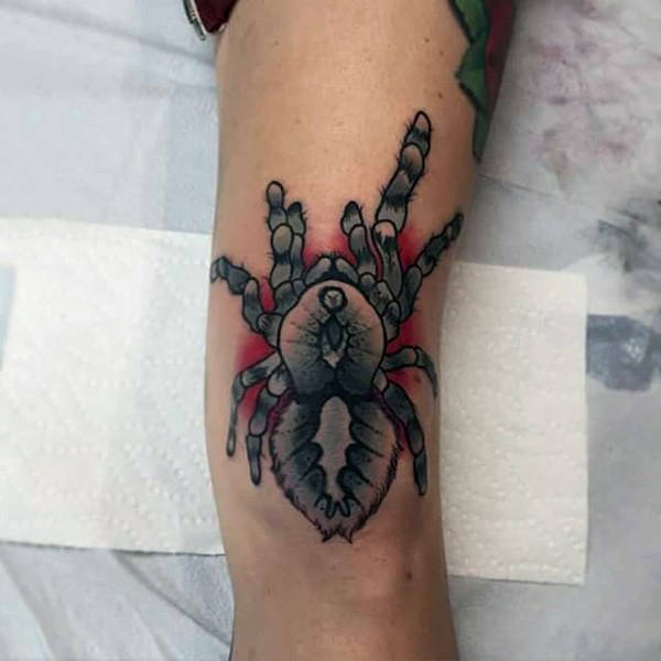 spinne tattoo 545