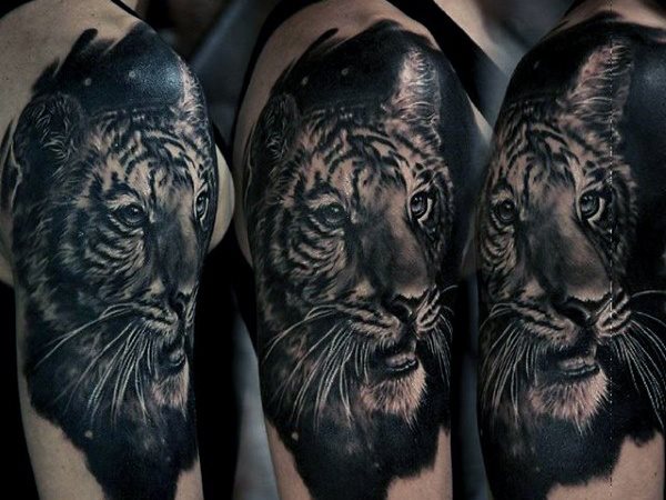 tiger tattoo 1116