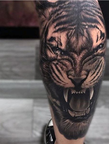 tiger tattoo 284