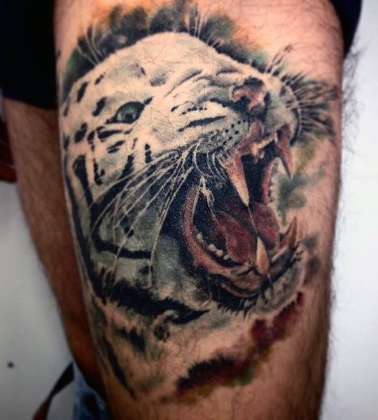 tiger tattoo 544