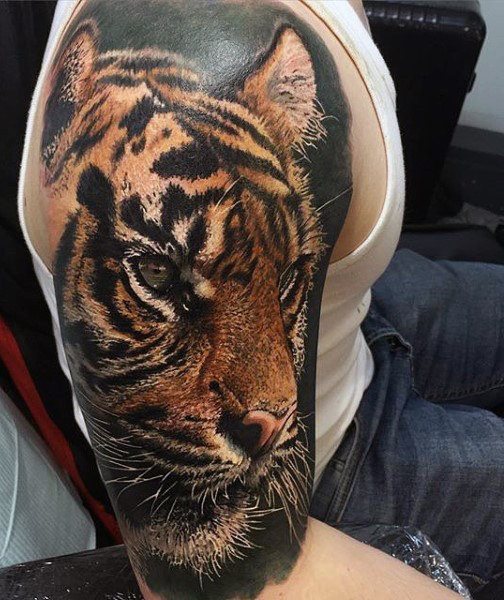 tiger tattoo 583