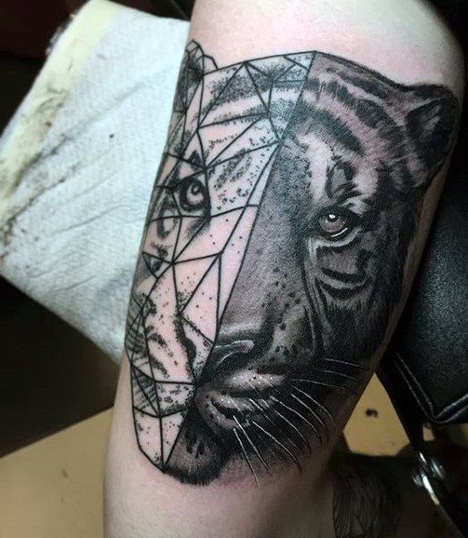 tiger tattoo 856