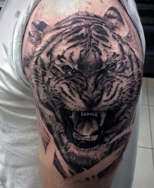 tiger tattoo 908