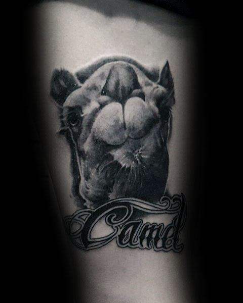kamel tattoo 41