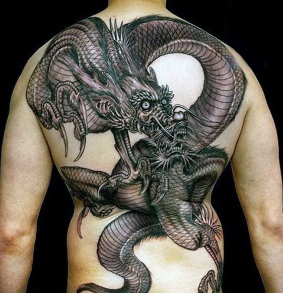 drache tattoo 514