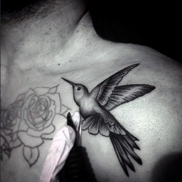 kolibri tattoo 18