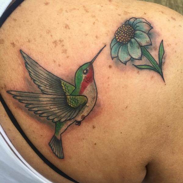 kolibri tattoo 482