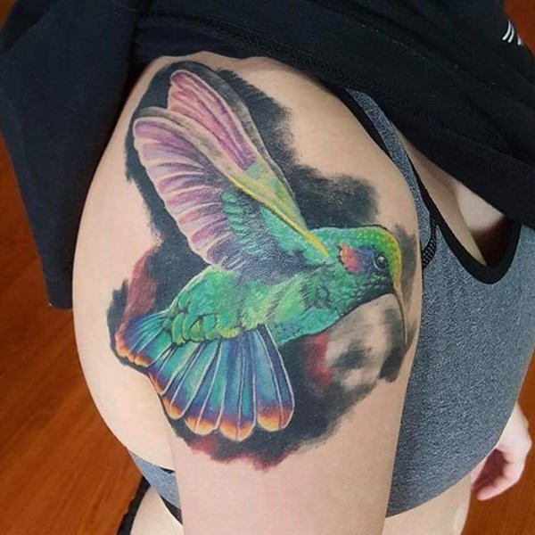 kolibri tattoo 502