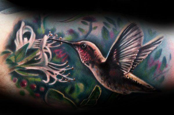kolibri tattoo 662