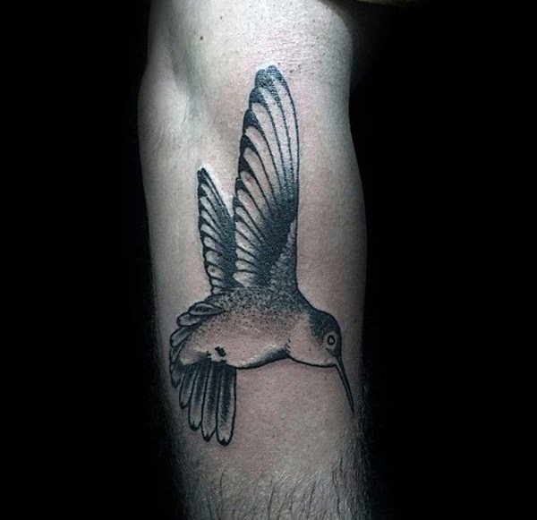 kolibri tattoo 674
