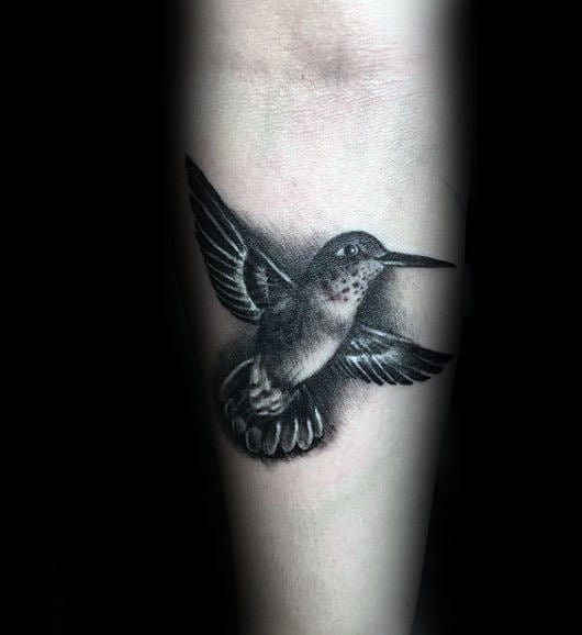 kolibri tattoo 702