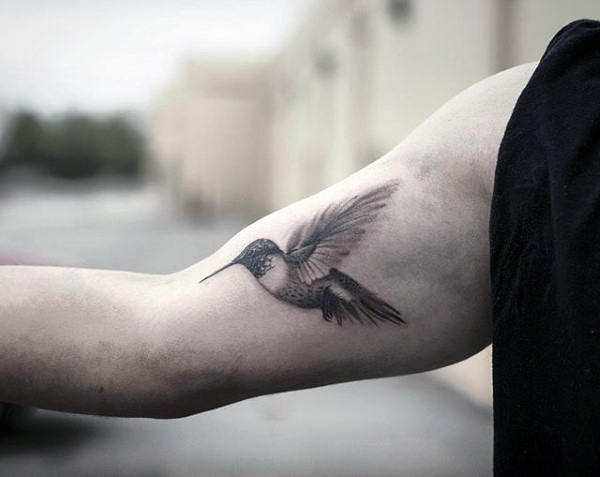 kolibri tattoo 722
