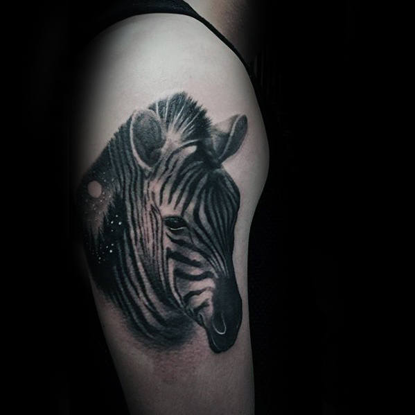 zebra tattoo 206