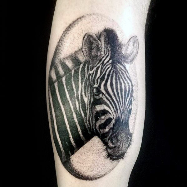 zebra tattoo 214