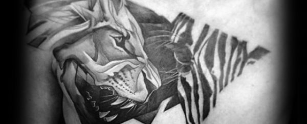zebra tattoo 218