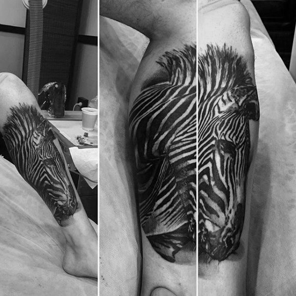 zebra tattoo 62